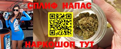 дмт Бердск