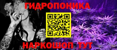 дмт Бердск
