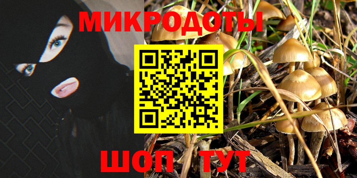 Псилоцибиновые грибы мицелий Боровичи