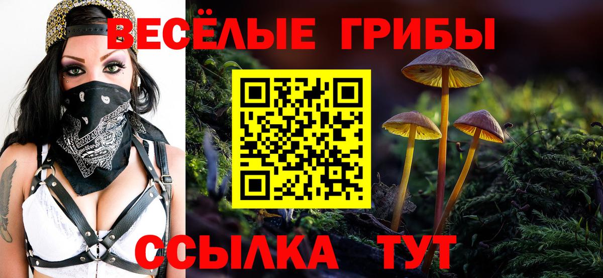 Псилоцибиновые грибы Magic Shrooms  Вход с VPN  Боровичи  Псилоцибиновые грибы прущие грибы 